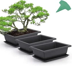 1 szt. doniczek treningowych do bonsai z 4 szt. etykietami na rośliny plastikowe doniczki do uprawy roślin bonsai do ogrodu podwórko biuro salon balkon