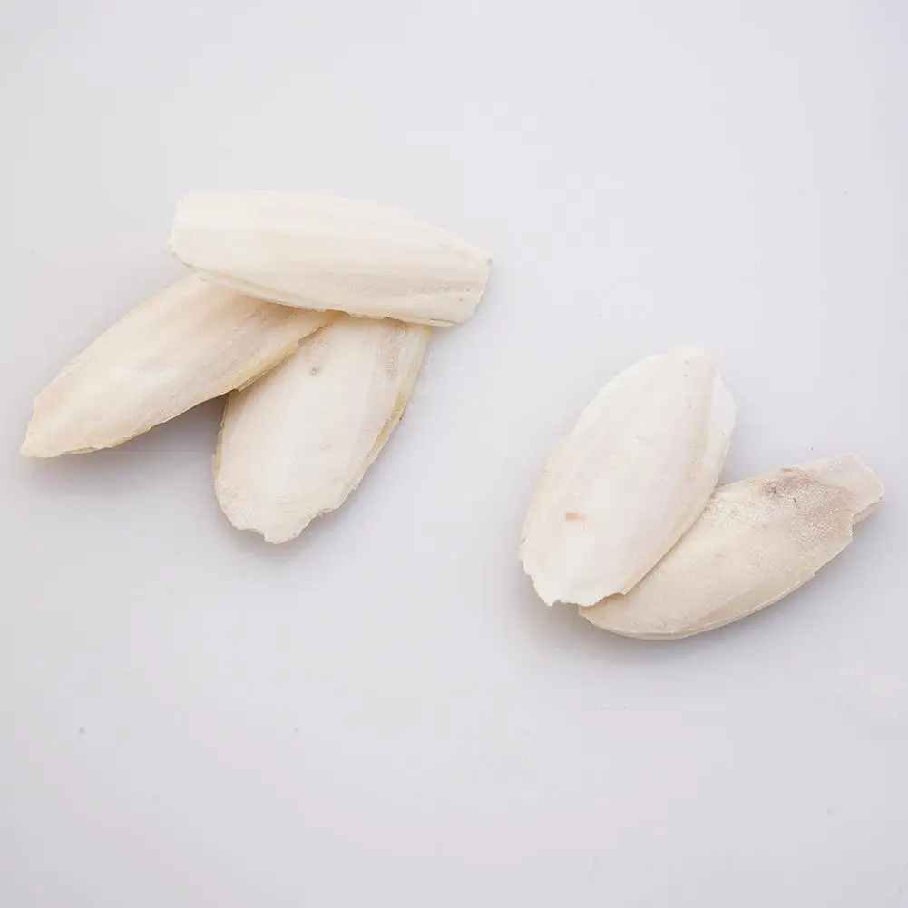 Natürliches Kaulquappenknochen-Kauspielzeug für Papageien, Wellensittiche, Hamster und Kleintiere, zum Zähneputzen, Kalziumergänzung, Vogelzubehör, gesund – Detail 9