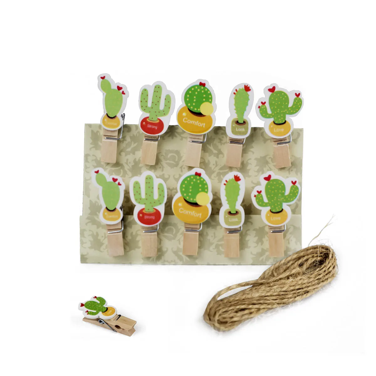 Photo Clothesline Kit + 10 Cacti Photo Fasteners