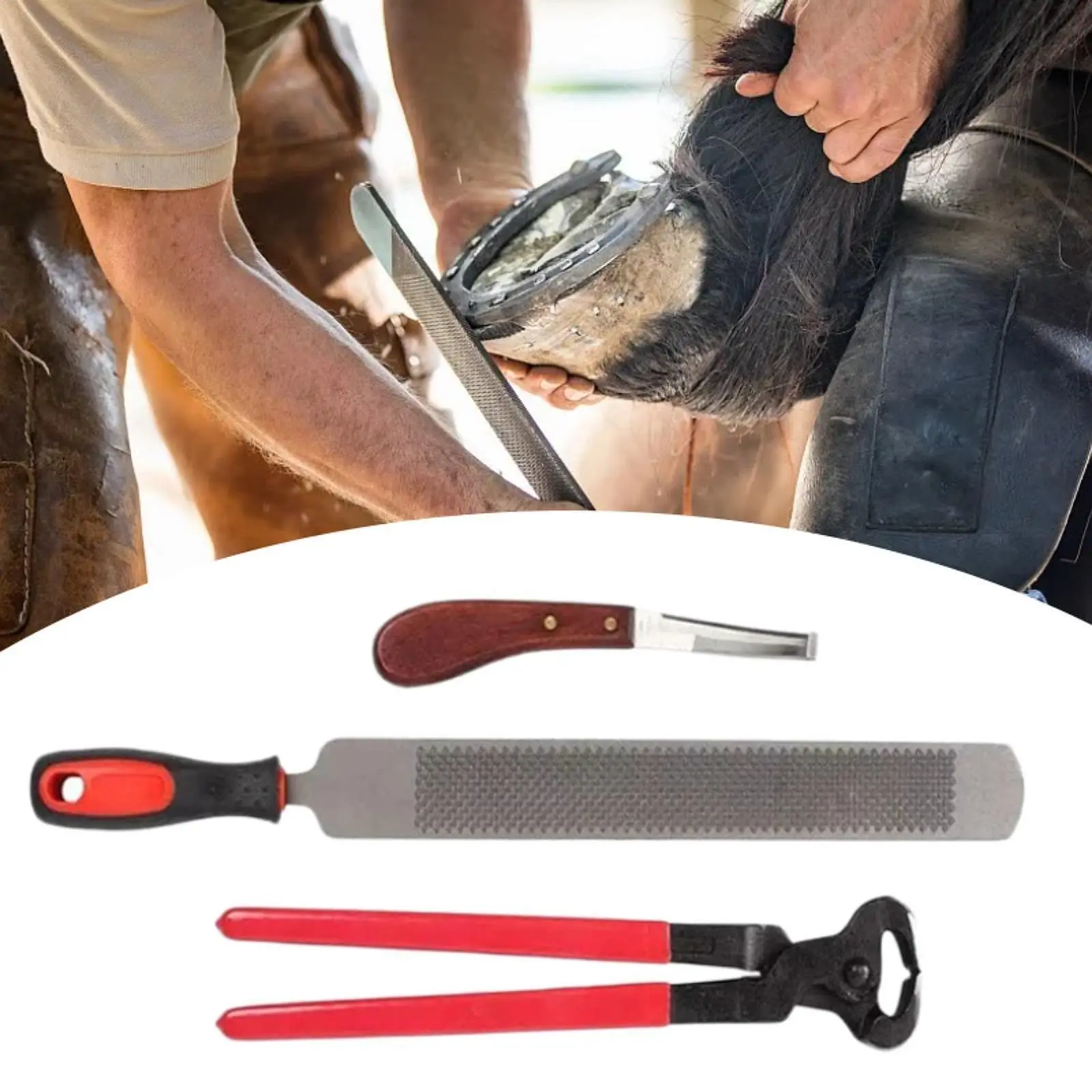 3 Pieces Horse Hoof Trimming Equestrian Accessories Hoof Trimming File Farrier Tools Hoof Cutter Knife Manicure Horse Hoof Rasp