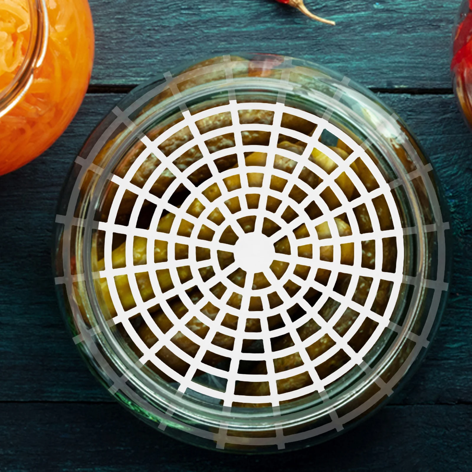 

10Pcs Pickle Press Mesh Plates Plastic Fermenting Jar Weights for Wide Mouth Jars Vegetable Fermentation Tools with Even