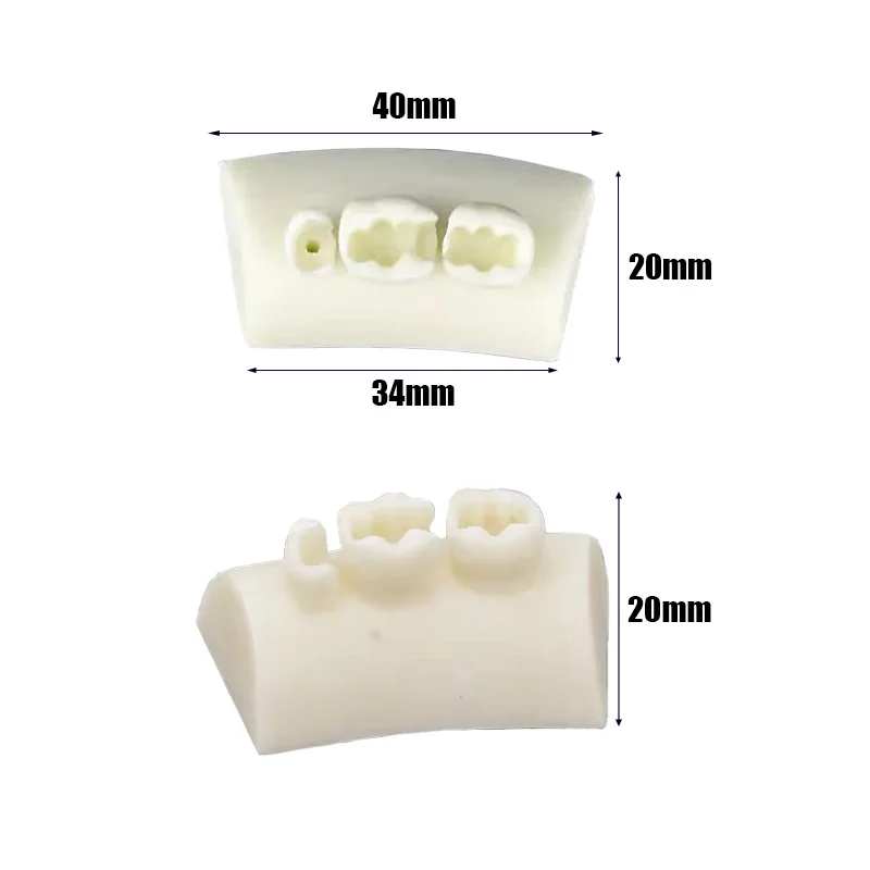 Großes Dental-Inlay-Übungsmodell, Blockfüllübung, Typodont-Harzmaterialien, orales Füllmodell für Zahnarzt-Unterrichtsstudium