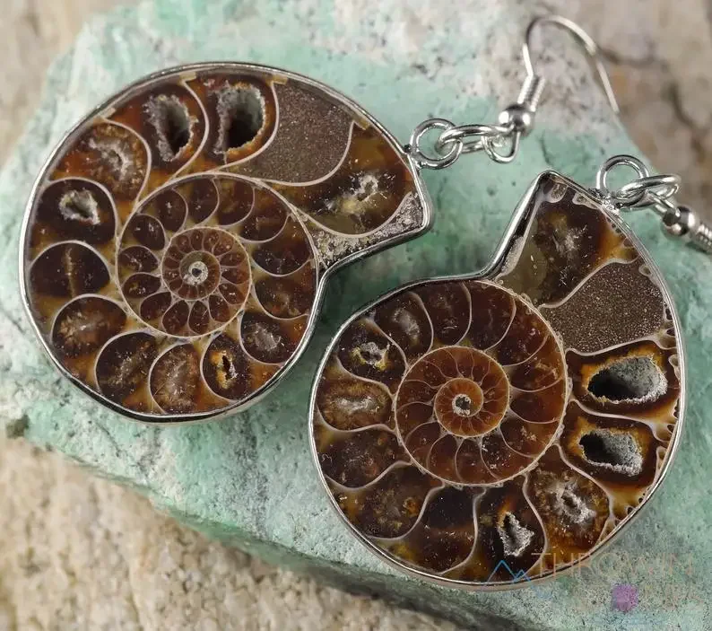 Opalized AMMONITE Crystal Statement Earrings for Woman Girl Fossil Dangle Healing Crystals Jewelry