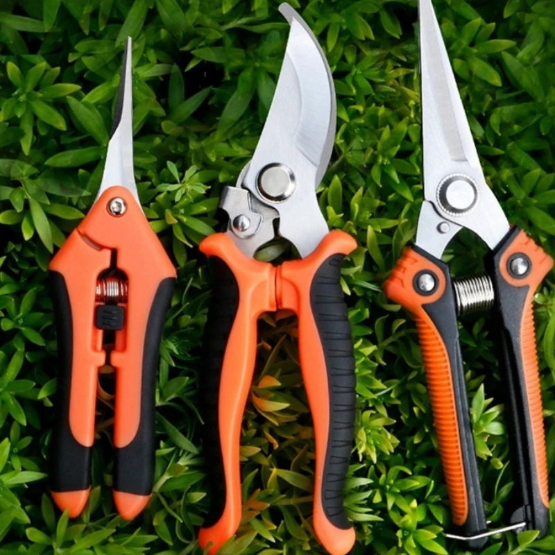 Household Pruning Fruit Tree Special Flowers Gardening Stainless Steel Pruning Branches Greening Garden Scissors Fast Delivery