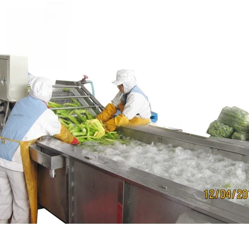 Vegetable Washer Bubble Spray Cleaning Equipment for Fruits Onion Carrot Beans Food Processing Machine Processor Industrial