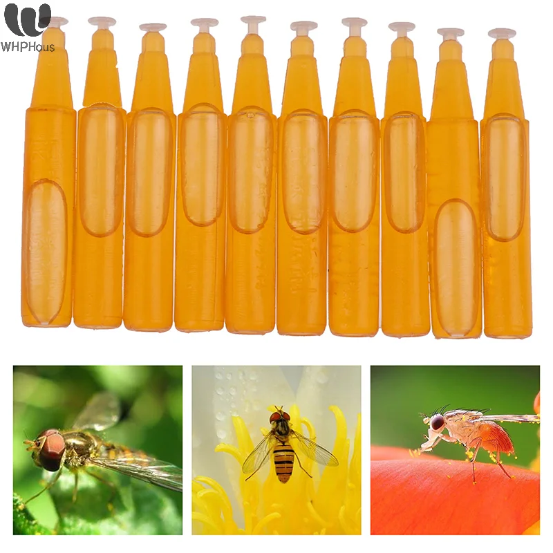 

10pcs Outdoor Fly Traps 10ml Attractant Wasp Trap Catcher Bee Mosquito Trap Fly Fruit Insect Attracting Traps For Garden