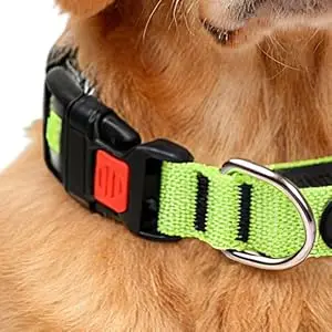 LED-Hundehalsband, USB-aufladbar, leuchtendes Haustierhalsband, leuchtendes, verstellbares, weiches Sicherheitshalsband für kleine und mittelgroße Hunde – Detail 3
