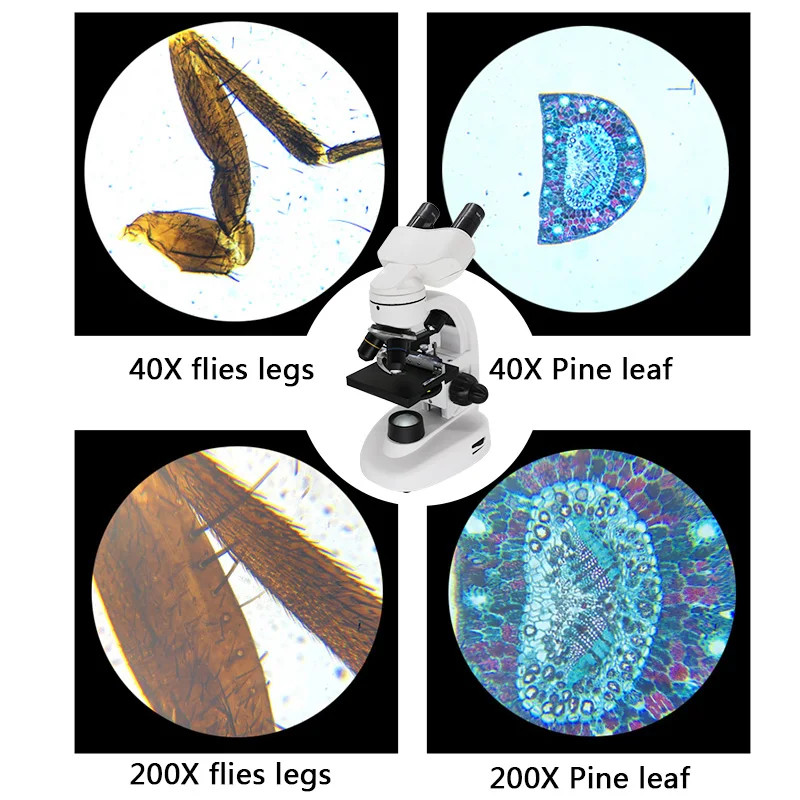 40X~1600X Microscópio Biológico Iluminado Óptico com Suporte Binóculo 360 °   Ferramentas de laboratório de microscópio de cabeça rotativa