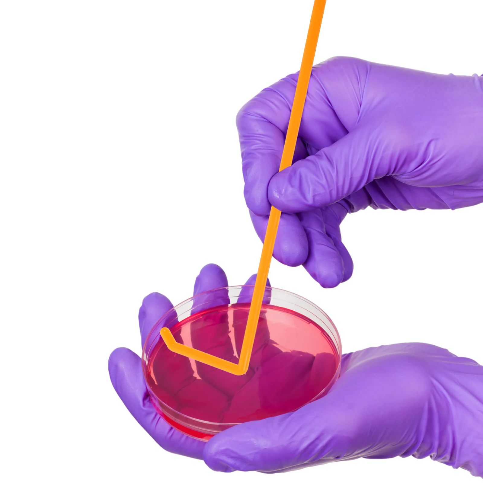 

Coating Rod Scraper Teaching Cell Spreader Experiment Laboratory Spreading Tool L-shaped