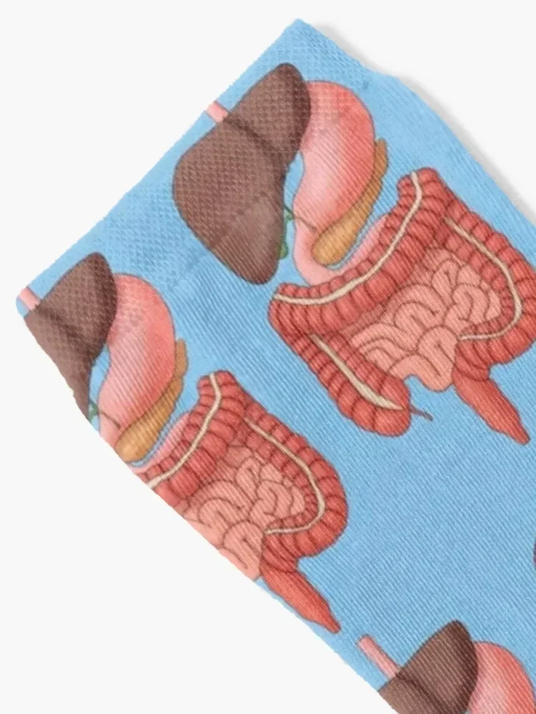 Digestive System Organs, Medical Illustration Socks funny gift floor cotton Boy Child Socks Women's