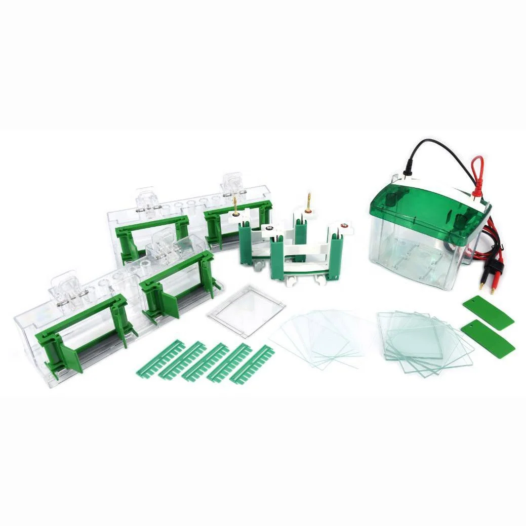 DYCZ-MINI4 Mini SDS PAGE Vertical Protein Electrophoresis Gel Electrophoresis Tank Runs 1-4 Mini Polyacrylamide Gels