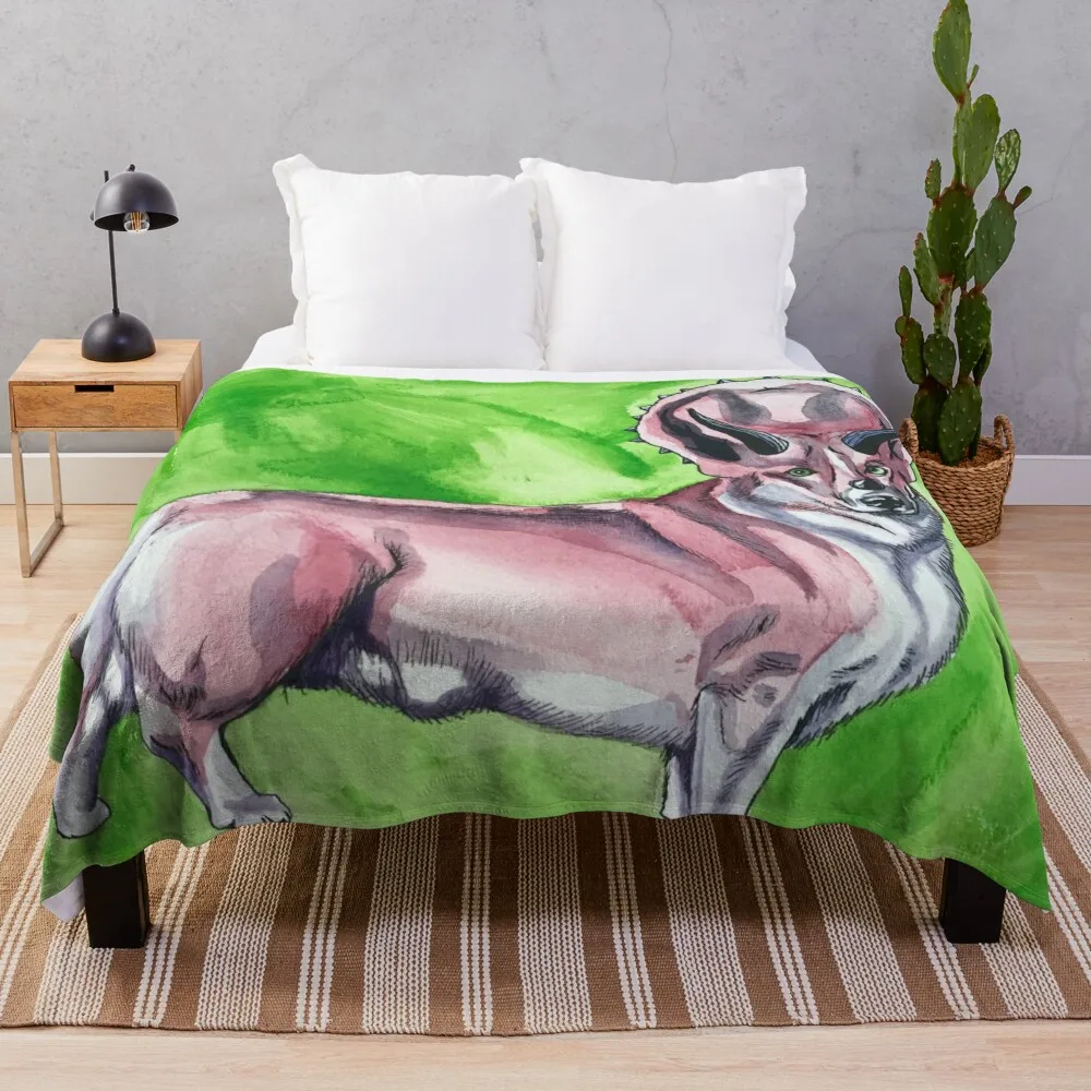 Triceratops Corgi Throw Blanket Tourist Picnic Soft Big Blankets