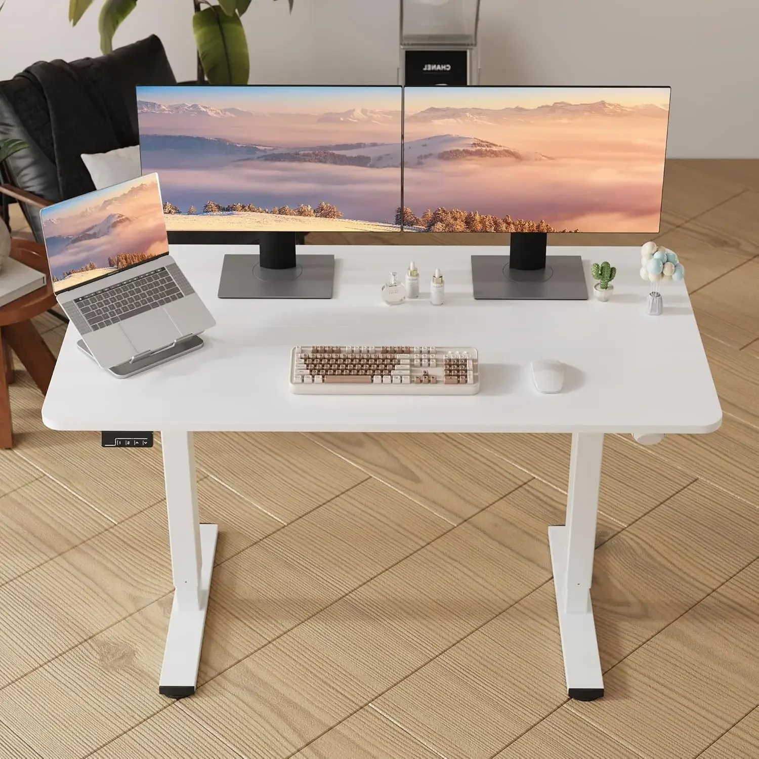 Electric Standing Desk Adjustable Height, 55x24 Inches Sit Stand up Desktop for Home Office