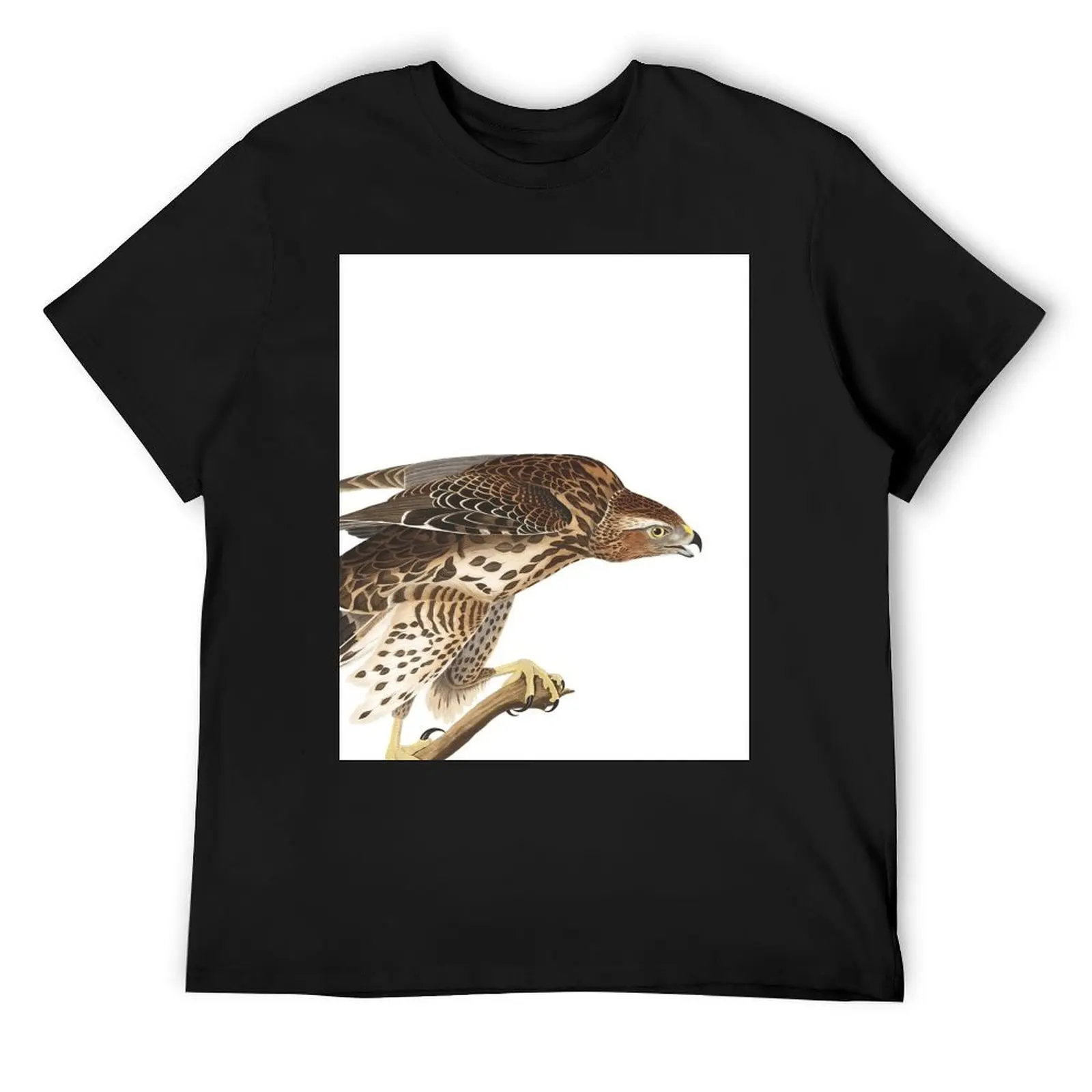 Northern Goshawk - John James Audubon T-Shirt anime tshirt sublime mens t shirts pack