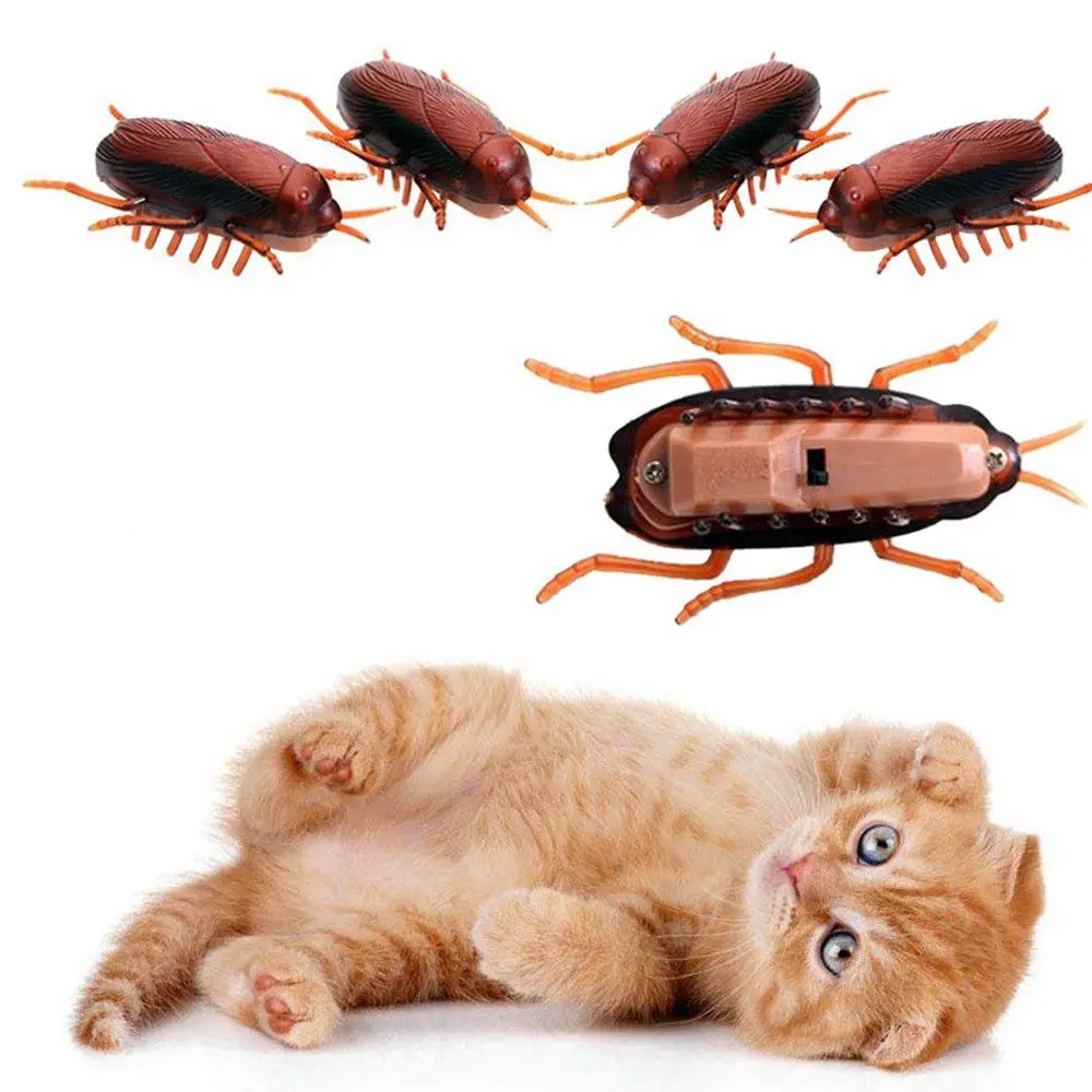 Kitten Electronic Novelty Gag Toys Cockroach Kids Training Play Toy Battery