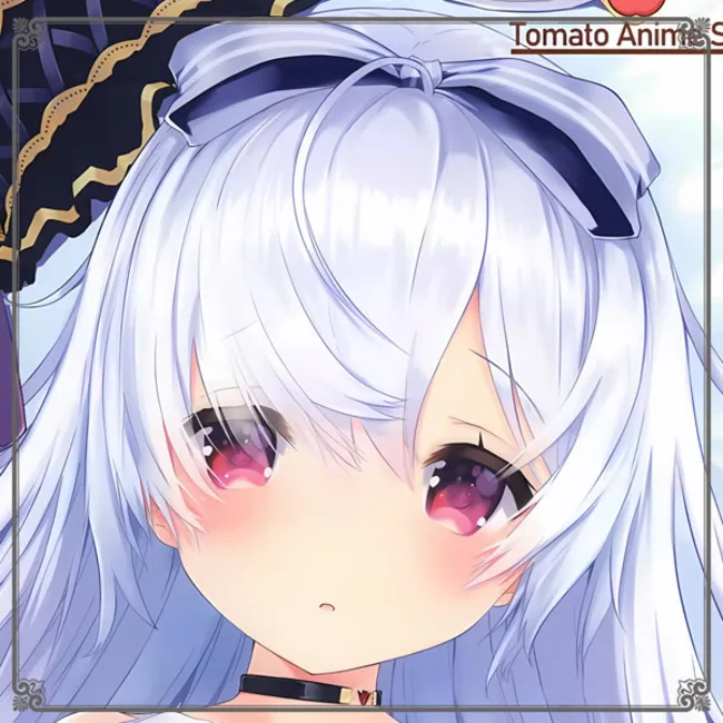 

Anime King's Raid HMS Unicorn Sexy Dakimakura Cozy Japanese Pillow Cover Otaku En LJ