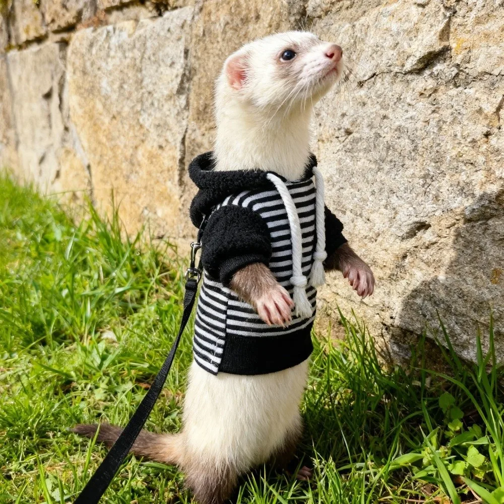 Elastic Ferret Hoodie Thick Fleece Cozy Pet Striped Sweatshirt Soft Stylish Drawstring Pet Warm Clothing