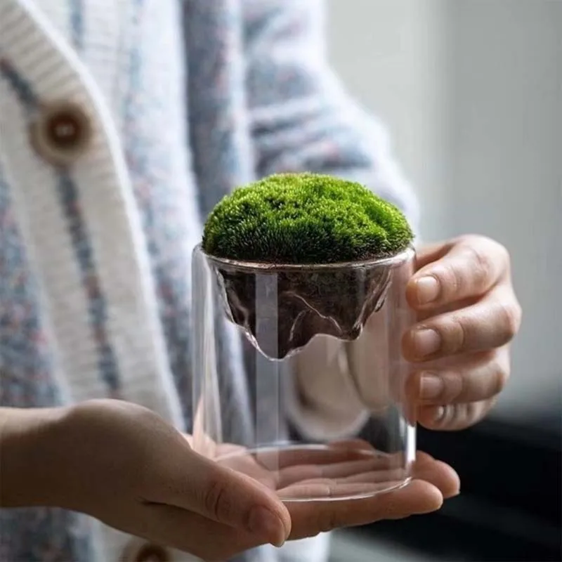 Thicken Glass Moss Bottle Creative Floating Mountain Micro-landscape Ecological Bottle Home Decorations Hydroponic Plant Vase