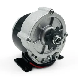12V250W brushed A-wheel geared motor 1016Z permanent magnet DC frying machine motor gear with feet