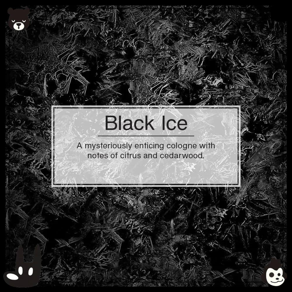 車用芳香剤 |   ファイバーキャンドルは車や家に長続きする香りを提供します |   再生繊維 |   ブラックアイス、4本入り