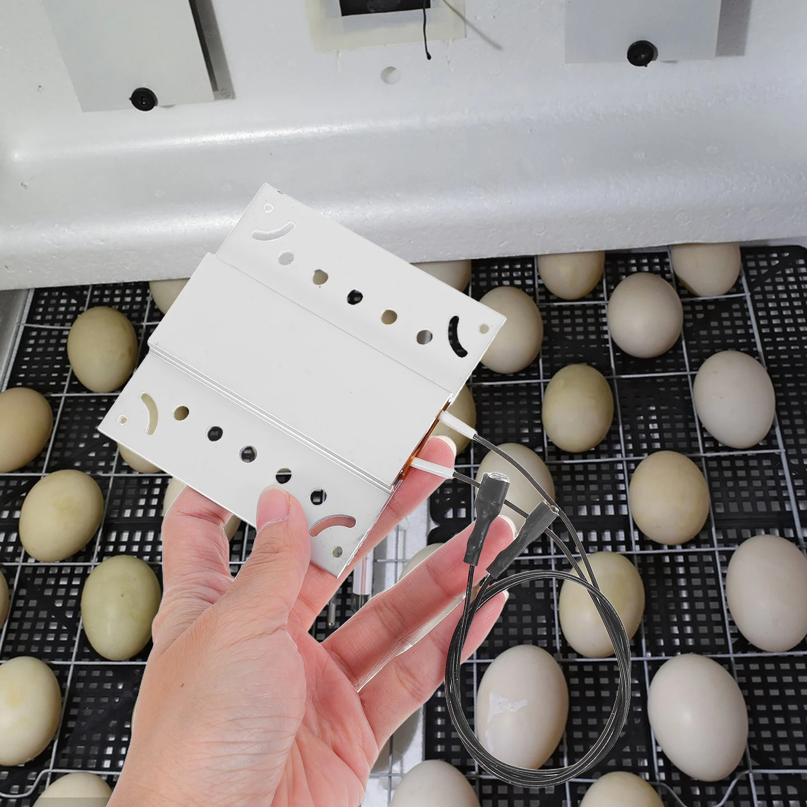 

Incubator Heating Sheet Heater Small Egg Accessory Element for Plate Accessories