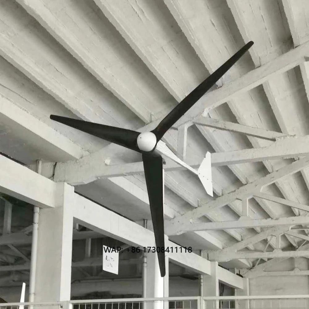 Low Rpm Wind Mill Fan 1000W 12v 24V 48V Mini Wind Power Generator Horizontal Axis Wind