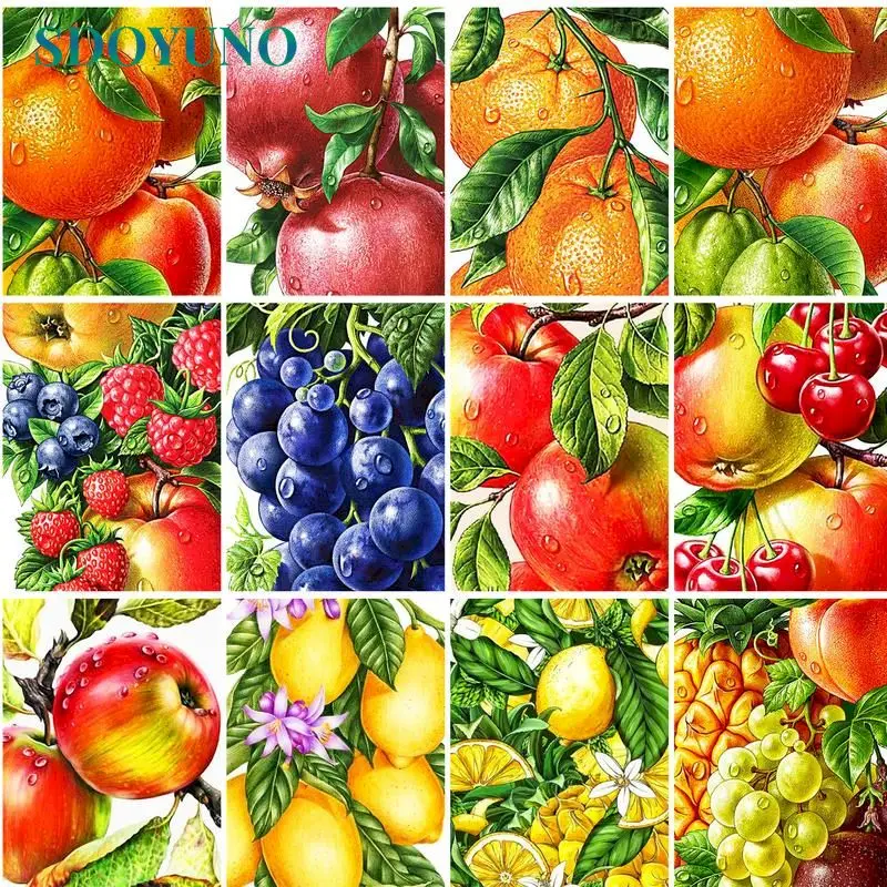 

SDOYUNO Paint By Number Fruit Drawing On Canvas Gift DIY Pictures By Numbers Landscape Kits Hand Painted Painting Art Home Decor