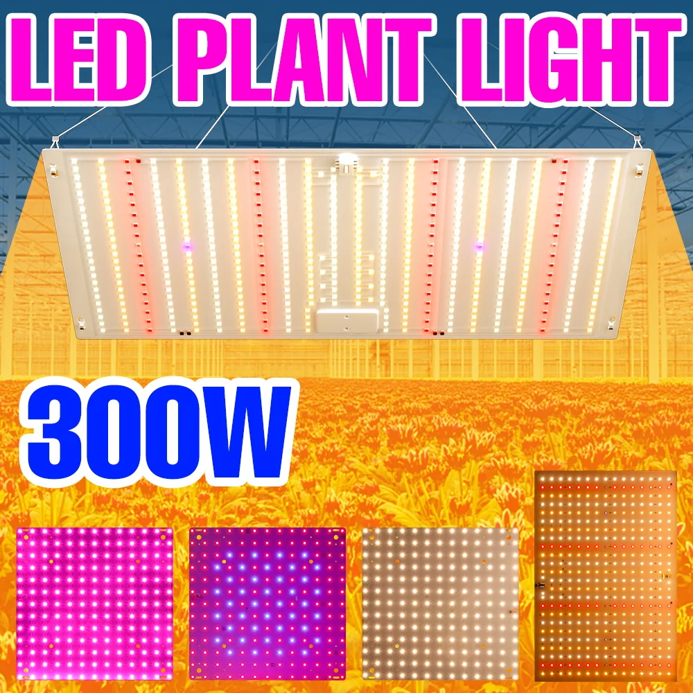 

Светодиодная лампа для растений 300 Вт, полный спектр, Quantum Board, для выращивания растений в помещении, для горшечных растений, фруктов, теплиц, кактусов, овощей