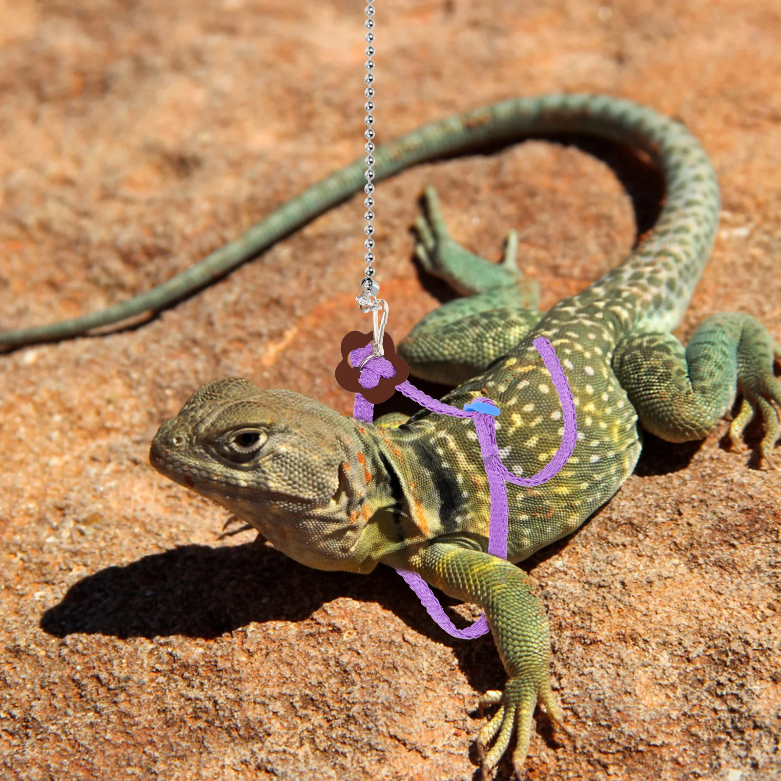 

1.2m Adjustable Nylon Reptile Harness Lizard Leash Metal Clasp Durable Outdoor Walk Training Reptile Harness Lizard Leash