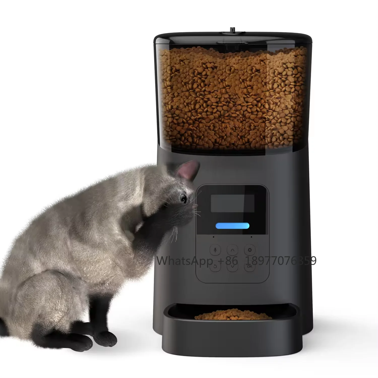 

Auto Dog Cat Smart Pet Food Bowl Dispenser Feeder 6L Automatic Feeder Machine For Dog And Cat With Stainless Steel Bowl