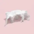 White-Xs