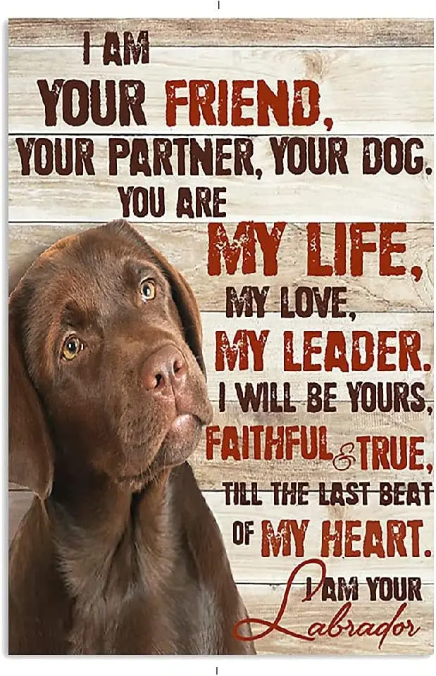 Metal Tin Sign I Am Your Friend Your Partner Your Dog Chocolate Labrador Aluminum Vintage Sign tin sign Retro for Home