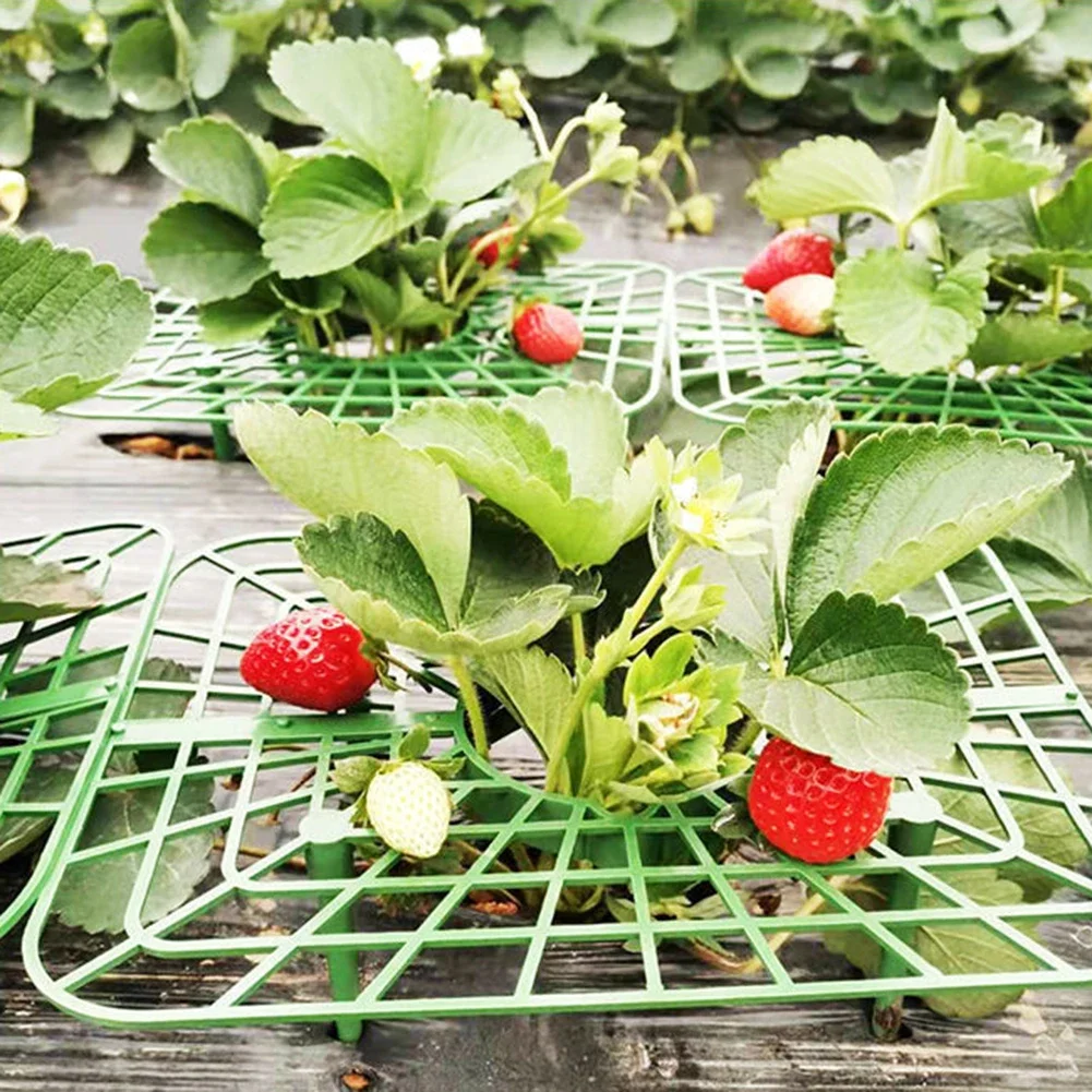 Strawberry Supports With 4 Sturdy Support Feet Plant Fruit Stand Vegetable Growing Rack For Protecting Vines Avoid Ground Garden