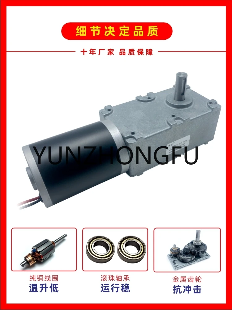 Self-Locking Worm Gear Reduction Motor 75zy High-Power Lifting Motor