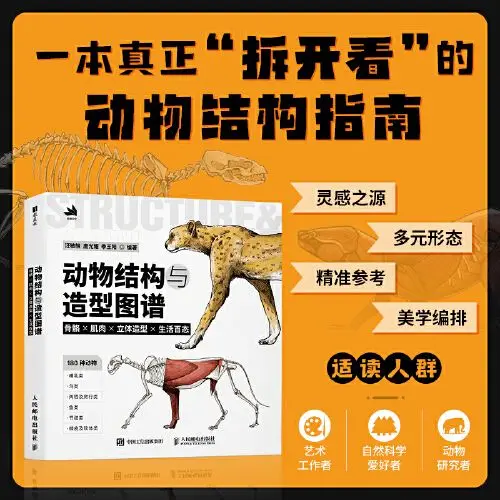 Animal structure and modeling map, skeletal muscle three-dimensional modeling life, animal structure appearance painting