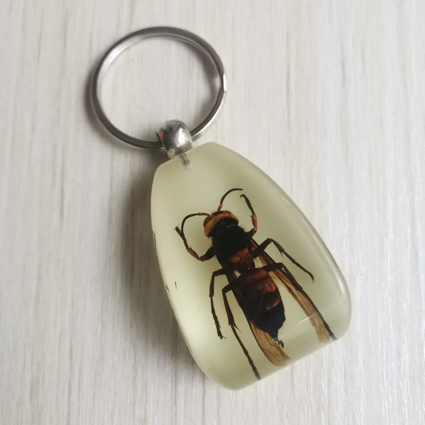 10pcs Amber Key Chain Insect Specimen Chain Pendant Scorpion Scarab Seven Star Ladybug Wasp Butterfly Car Key Ring Jewelry Gifts