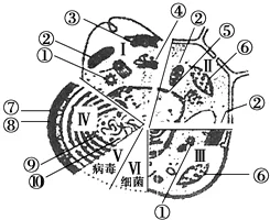 

Metal Front Rear Lower Suspension Arm 5132R For 1/10 Trxs E-MAXX T-MAXX RC Car Upgrade Parts Accessories