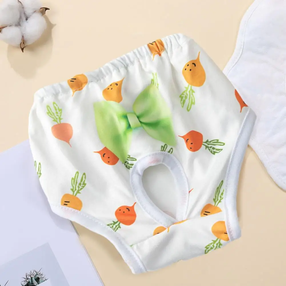 Dog Diapers for Heat Comfortable Pet Menstrual Pants with Absorbent Dog Diapers Breathable Elasticity Bow Dog Clothes Princess