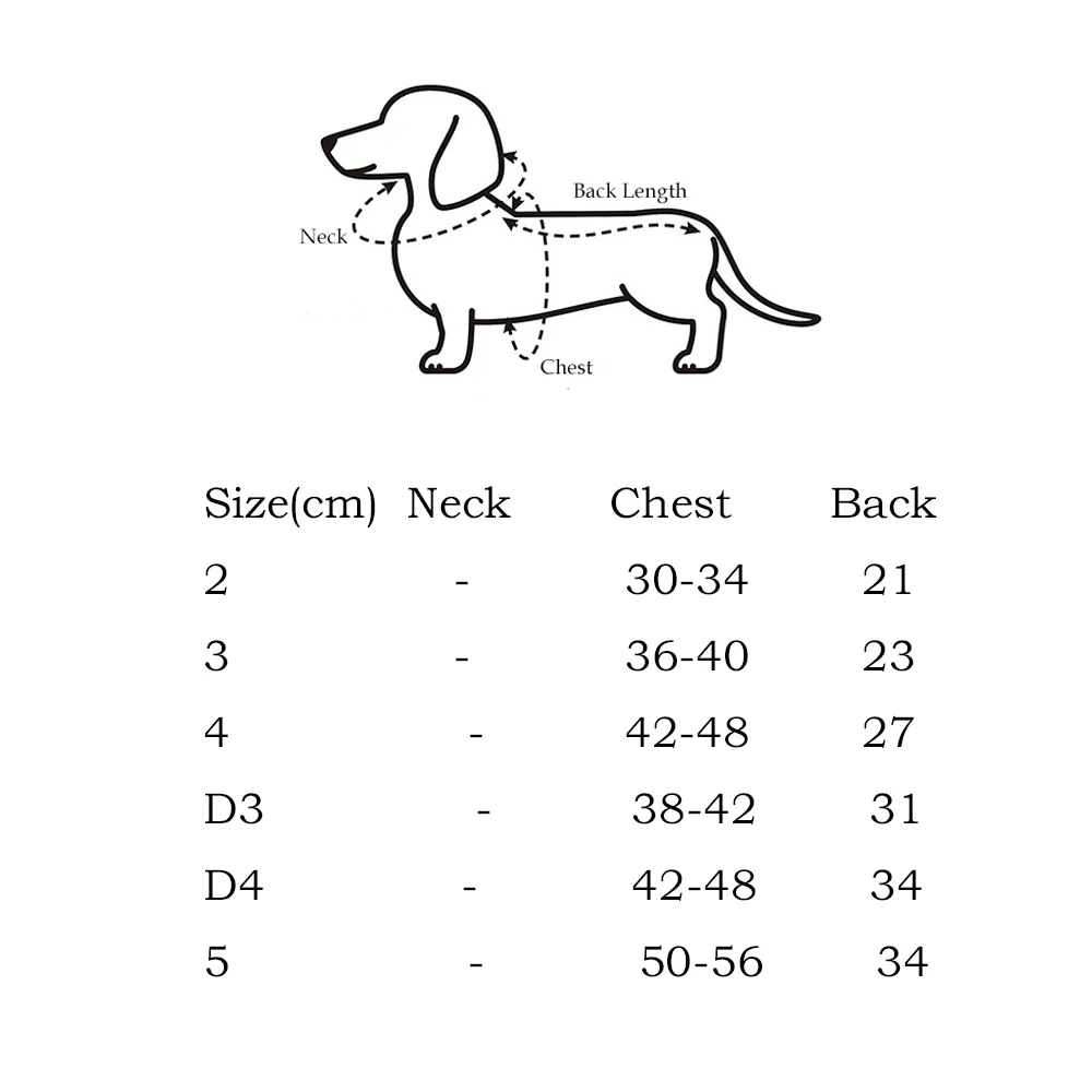 Camiseta verano Dachshund – Malla transpirable azul y rosa - imagen 3