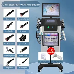 12 In 1 Oxygen Facial Machine Small Bubble Aqua Peeling Hydra Peel Moisturizer Hydrodermabrasion Spa Aesthetic Beauty Equipment