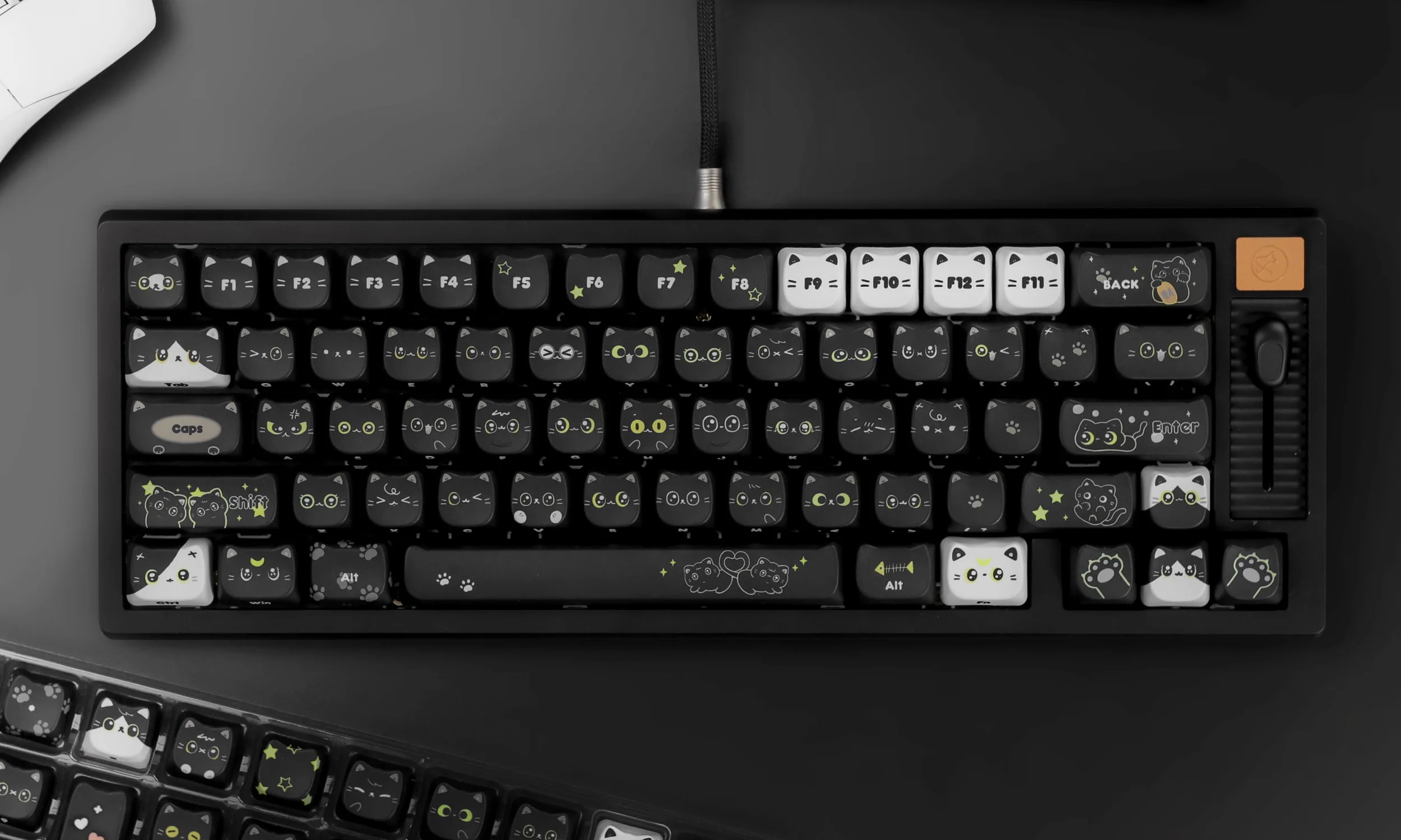 Рисунок 6 - Черный кот PBT Keycap 5-сторонний