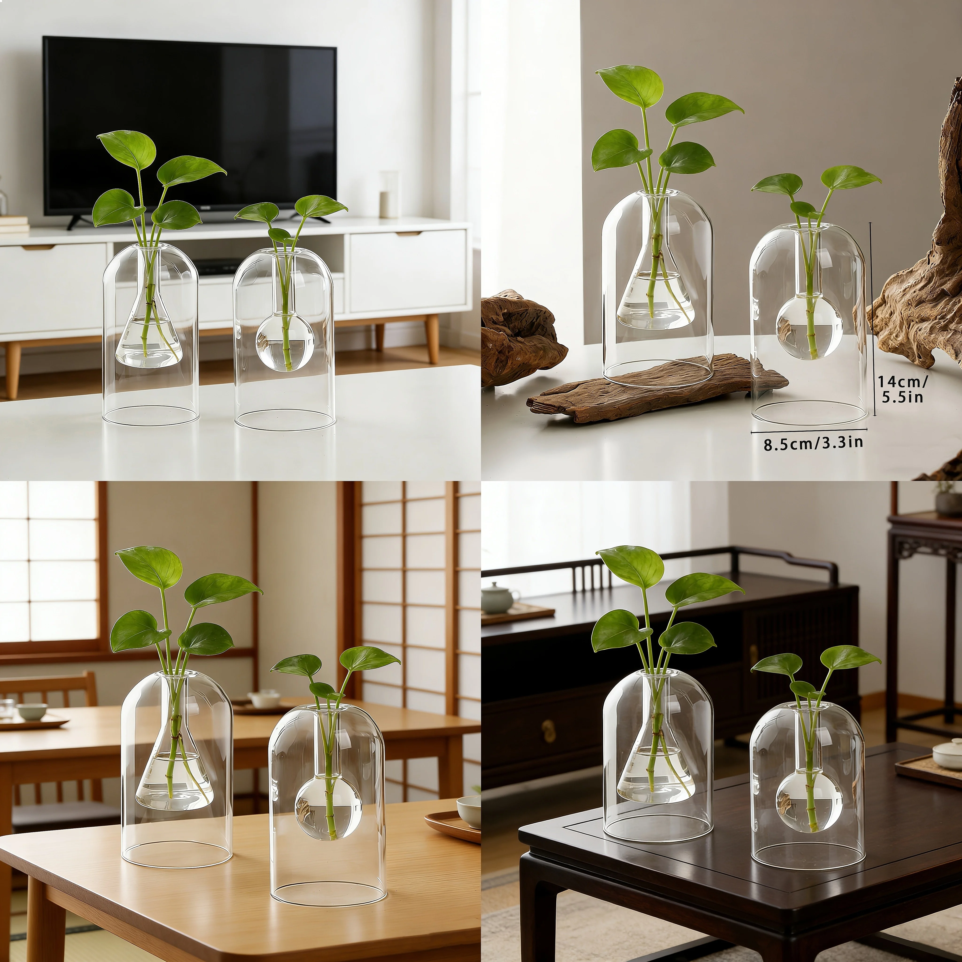 Double Layer Glass Planter, Hydroponic Vase. Minimalist Desktop Decor for Home & Office, for Pothos, Ivy & Small Indoor Plants.