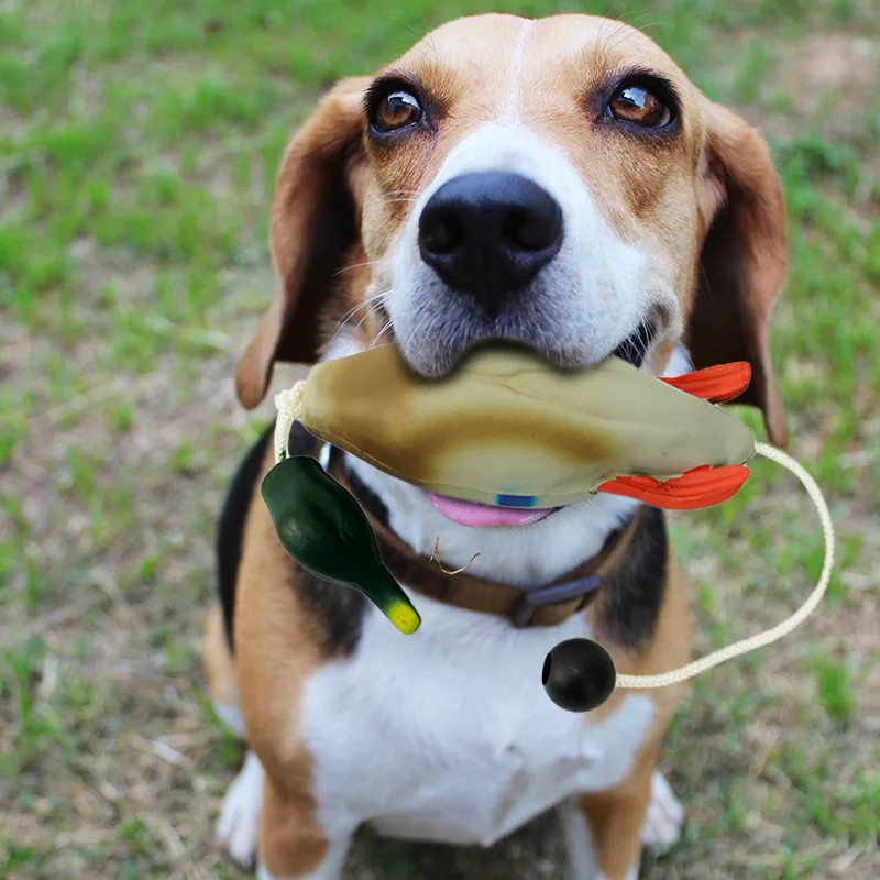Thumbnail 2 - #3 New Dog Fetch Toys Arrivals