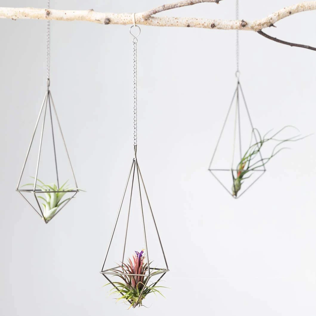 Hanging Air Plant Holder- 4 Pack, 2 Sizes Metal Air Plant Rack Tillandsia Hanger Display Himmeli Planter with Chains