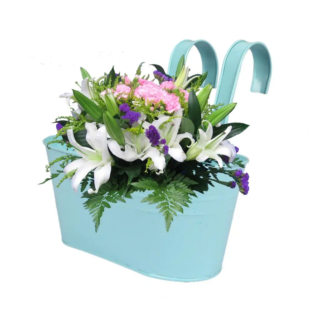 27cm Metal Hanging Planter Window Flower Plant Holder With Drain Holes Removable Dual Hooks Flower Pot For Balcony Railing Fence