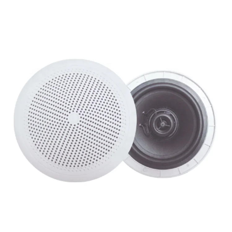 Thinuna OEM/ODM Outdoor Speakers Audio IP44 Detachable ABS Marine Loudspeaker Waterproof Marine Ceiling Speaker For Boat Yacht