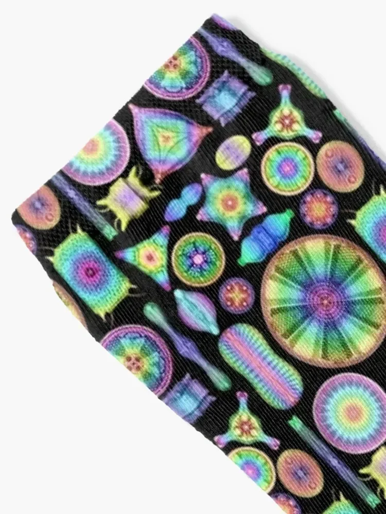 Ernst Haeckel Rainbow Diatoms on Black Socks with print Run Men's Socks Luxury Women's