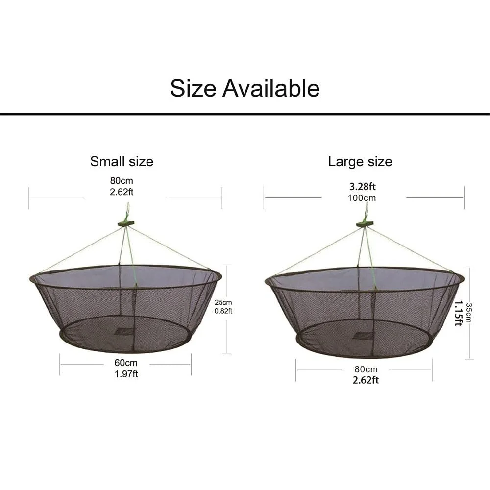 Thumbnail 4 - #4 Compare Fishing Traps Before You Buy