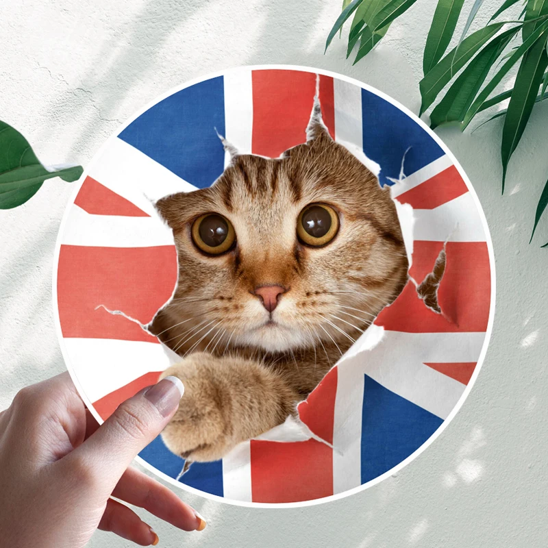 

Виниловая наклейка на лобовое стекло, водостойкая