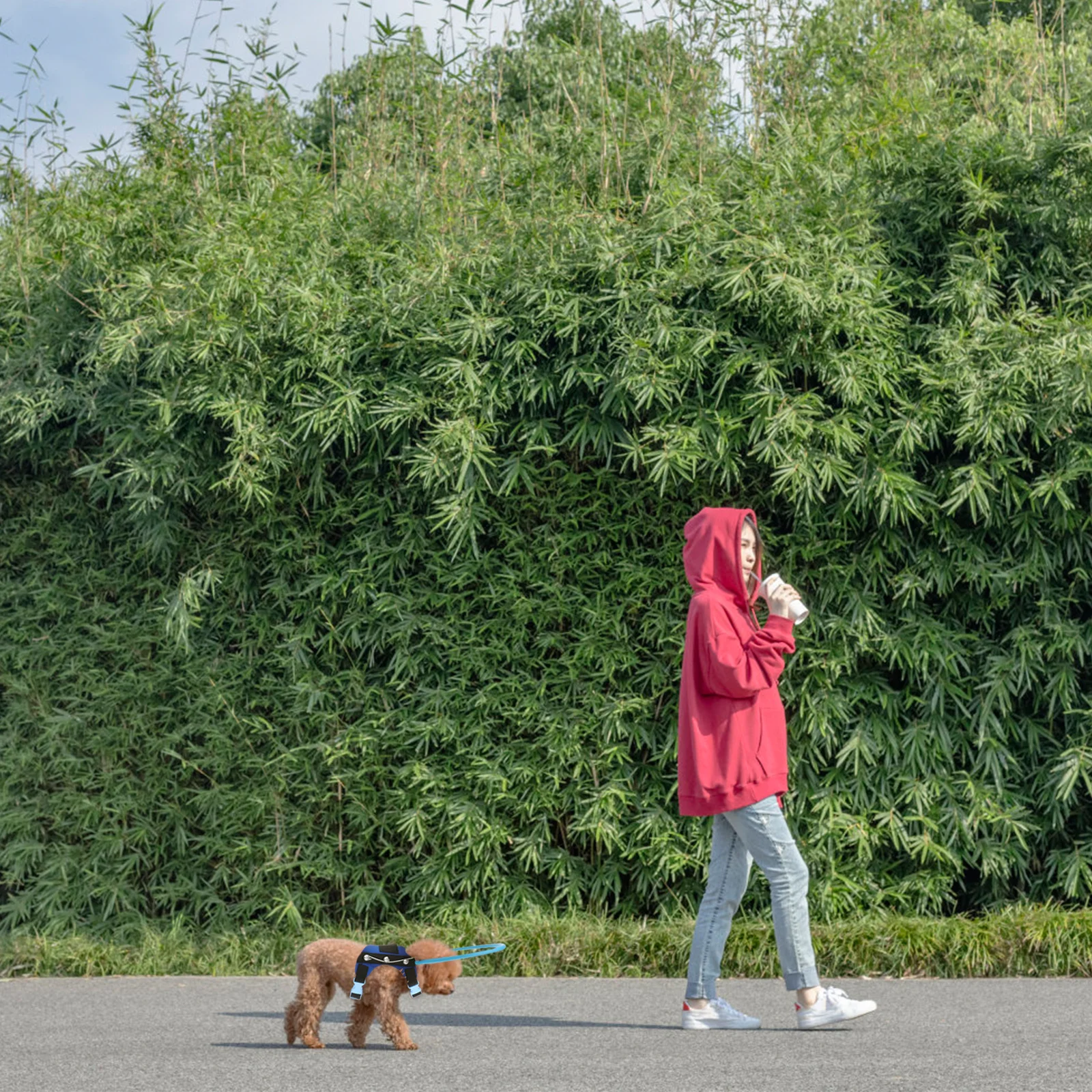 

1Pcs Dog Harness Anti-Collision Protection Circle for Blind Pets Xs 28cm Ultra-Light Eva Bendable Design